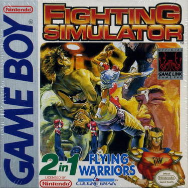 Fighting Simulator 2in1 Flying Warriors