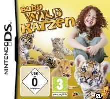 Baby Wild Katzen 