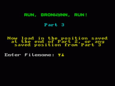 Run Bronwynn Run! 