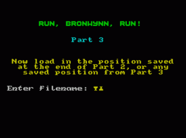 Run Bronwynn Run! 