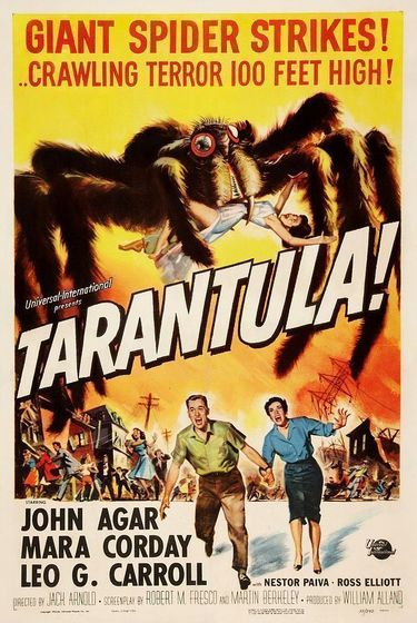 Tarantula 